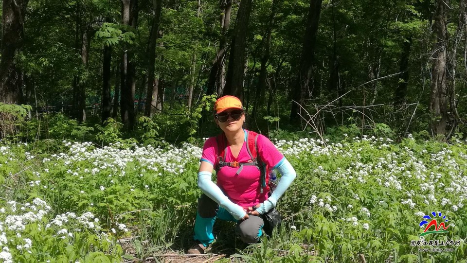 微信图片_20180519151803