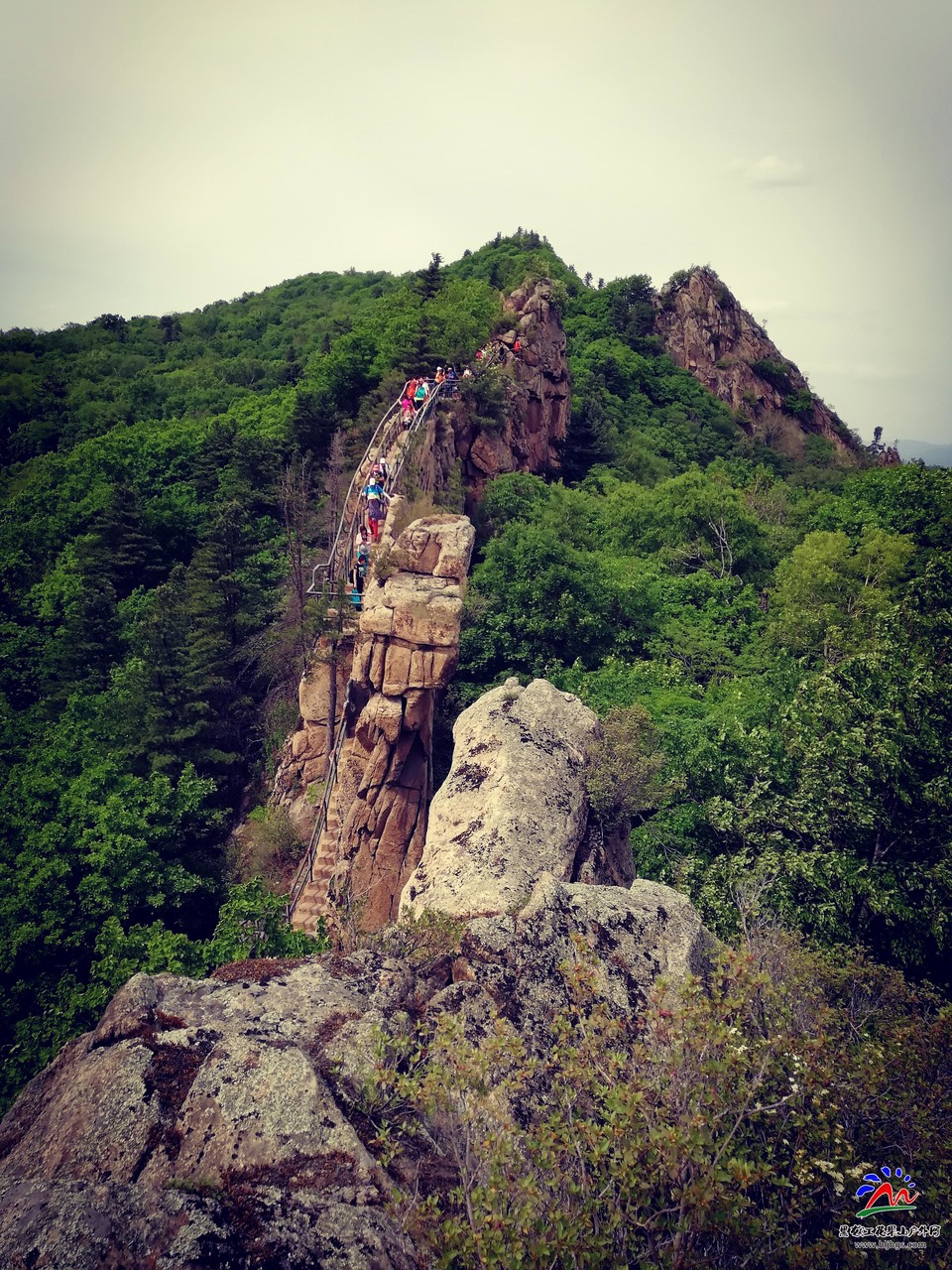 微信图片_20180520202816