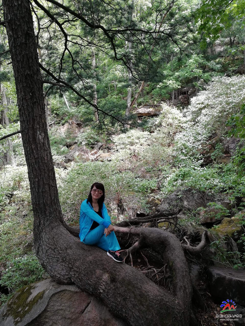 微信图片_20180520202736