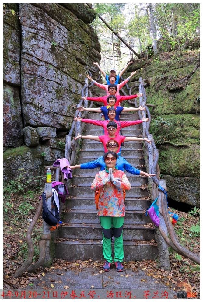 195205i4wadadorww8uw57