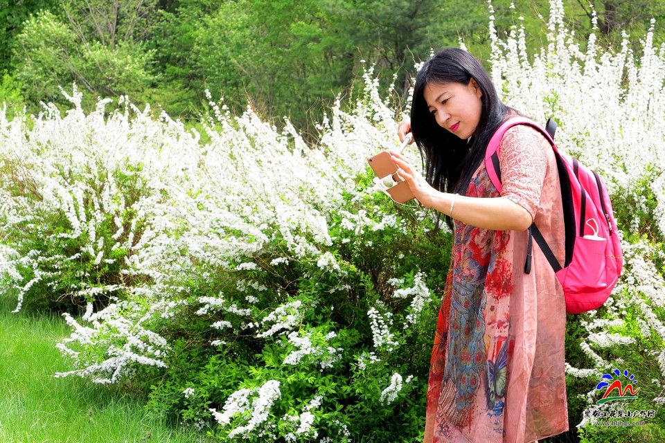 mmexport1526220101454