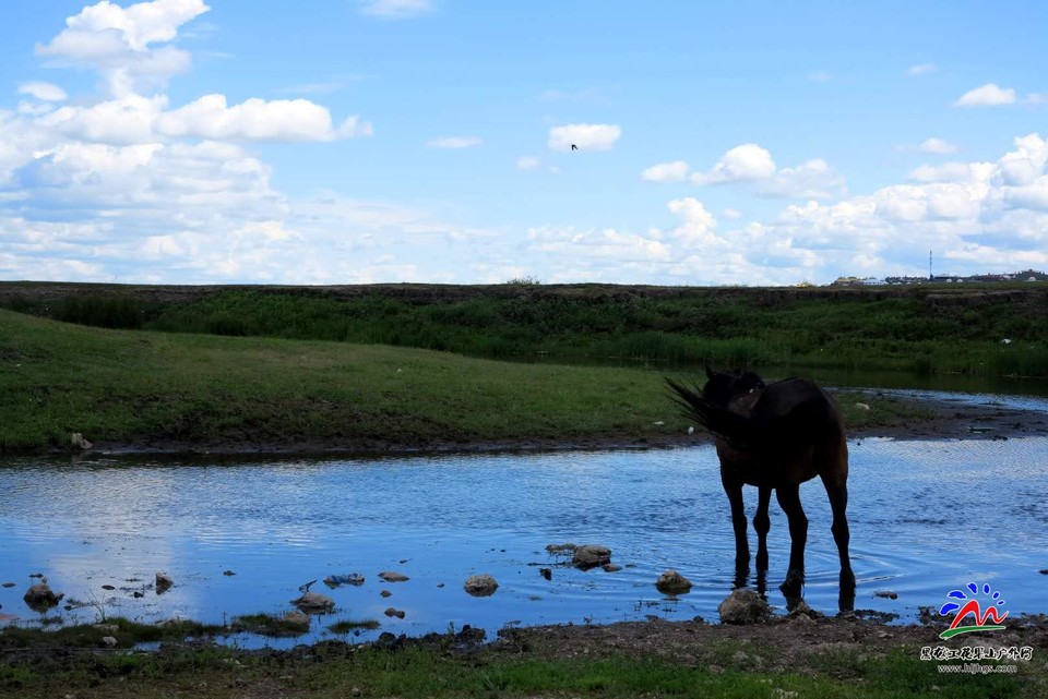 gtFYNiFKR7YFC3k855x3iHZgQQaUFavGzRJaSej_iqYEQ311-g9SGhNdl7LxV6Um