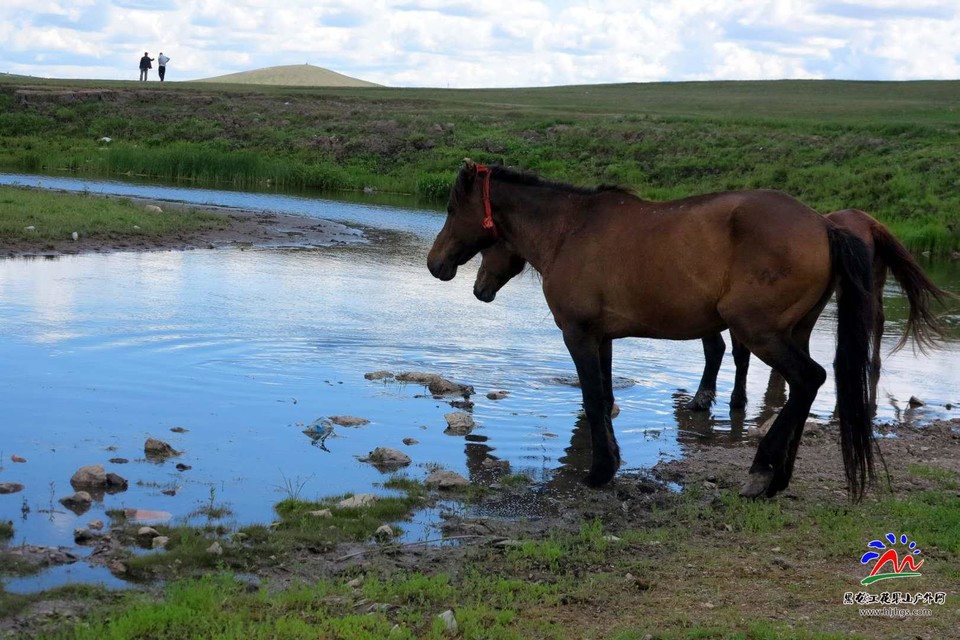 fWCkPqsTh1GUtSfOTFe9eh7sKjKBH1bqG9GOYM-Wk3hFWjPoO-cc-0Z0ttj88wZr