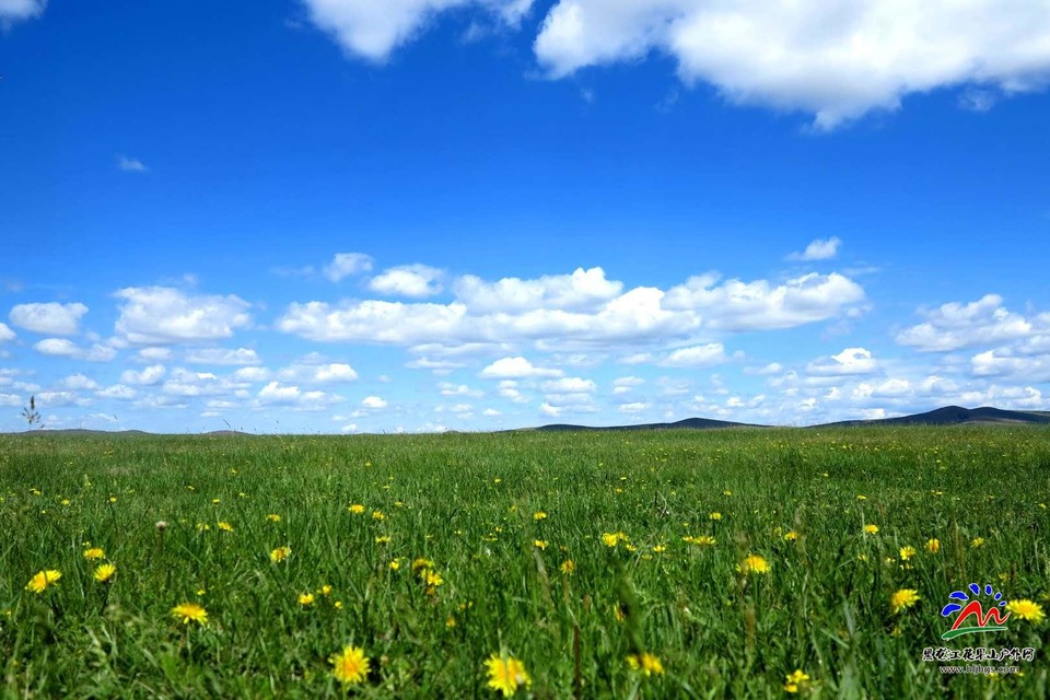 CebVGs6ttMg3cCyb0Q2Ve9bQUYCCfZw9vZB8Fz6OljAqD5n5e6UL18N9chXFuw3f