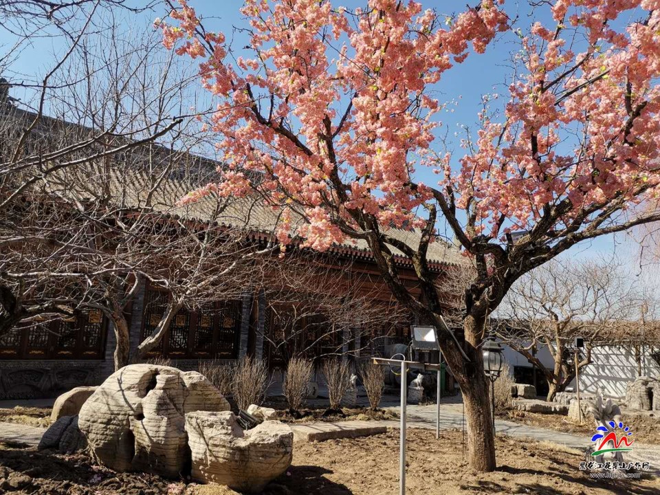 XwUh7GCpp586-R84ITeD_VIJaekky51WhfNmGLJaE25fI2ZDV8IPm-9c4j8Hov1s