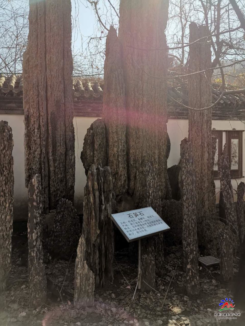 pz6Tjgd9znkGYyWqkPccxO1xZhZvDDsy1HFCpTdp9nPjcDyJRmNaKKEp9LBQHAnz