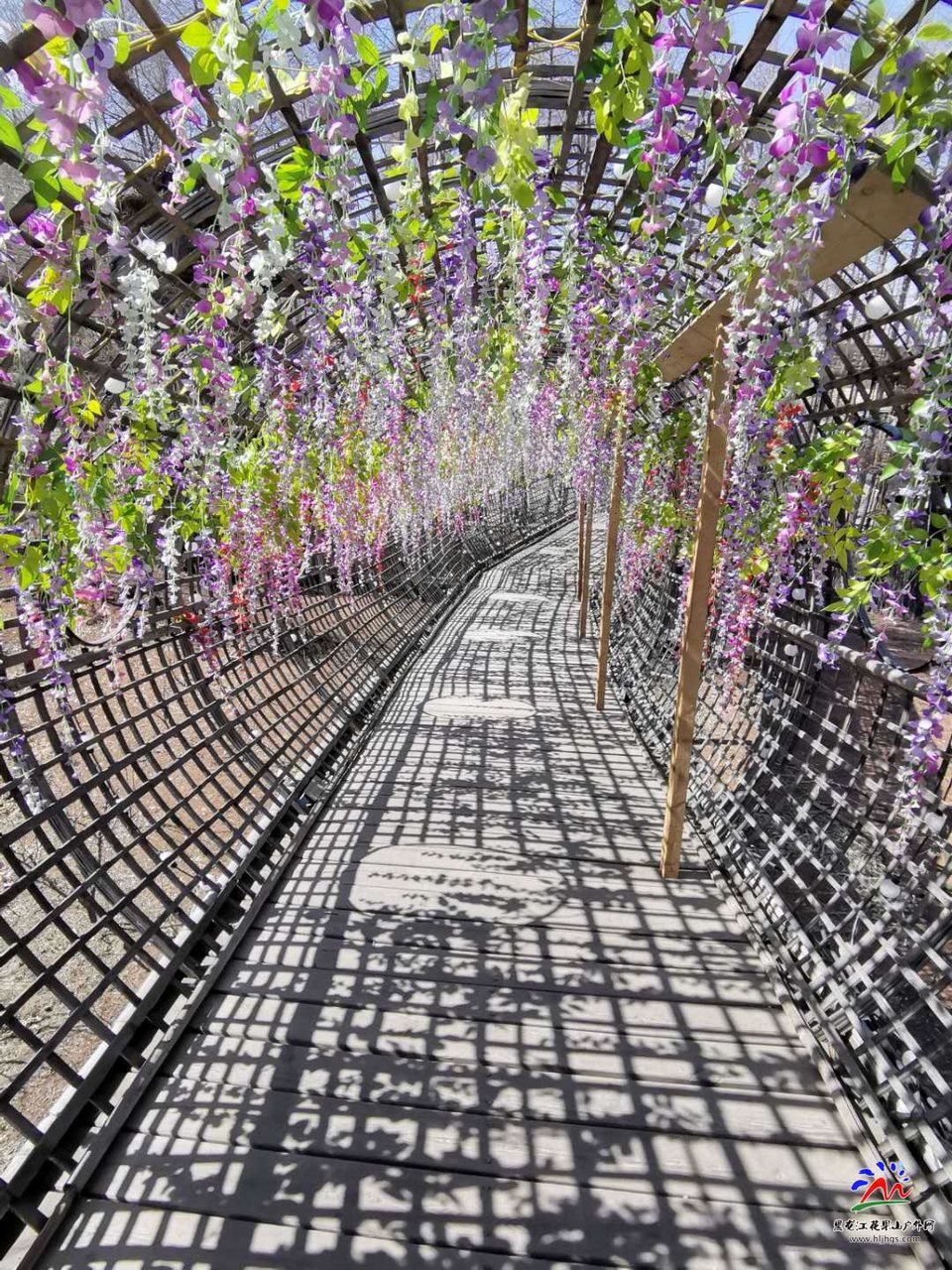 B8Pt499QXp0nyeJUWnUKZAO2K1X2X_Q5dF1OJHfb0QPQcuY-sNEBGuxUFrLtfhTw