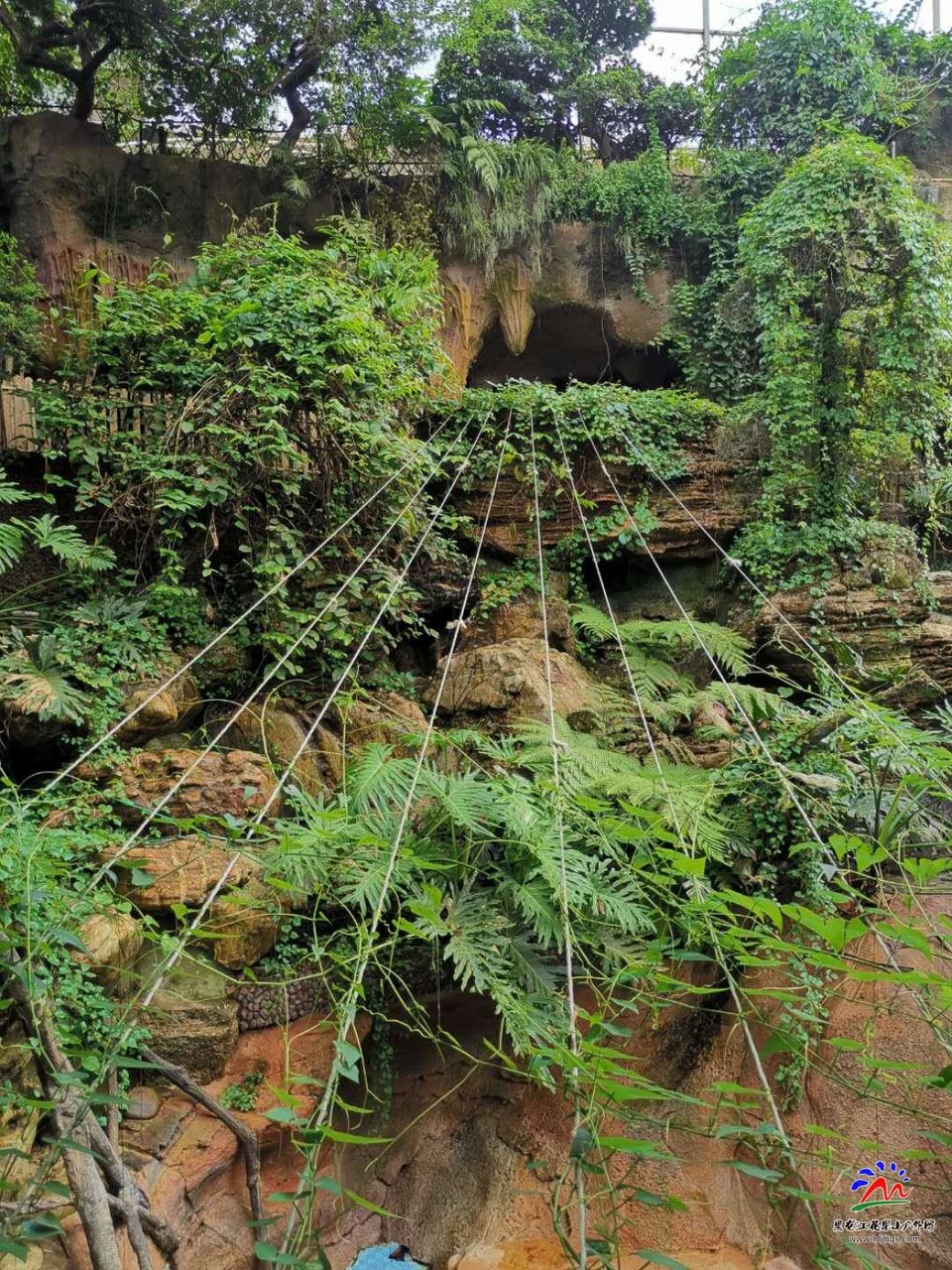 qp-yJjEq_zrJhMLOPT-2Us1mXcWnch2_92DYCKqyHYkfAWGpws379bCv8vwmQKuR