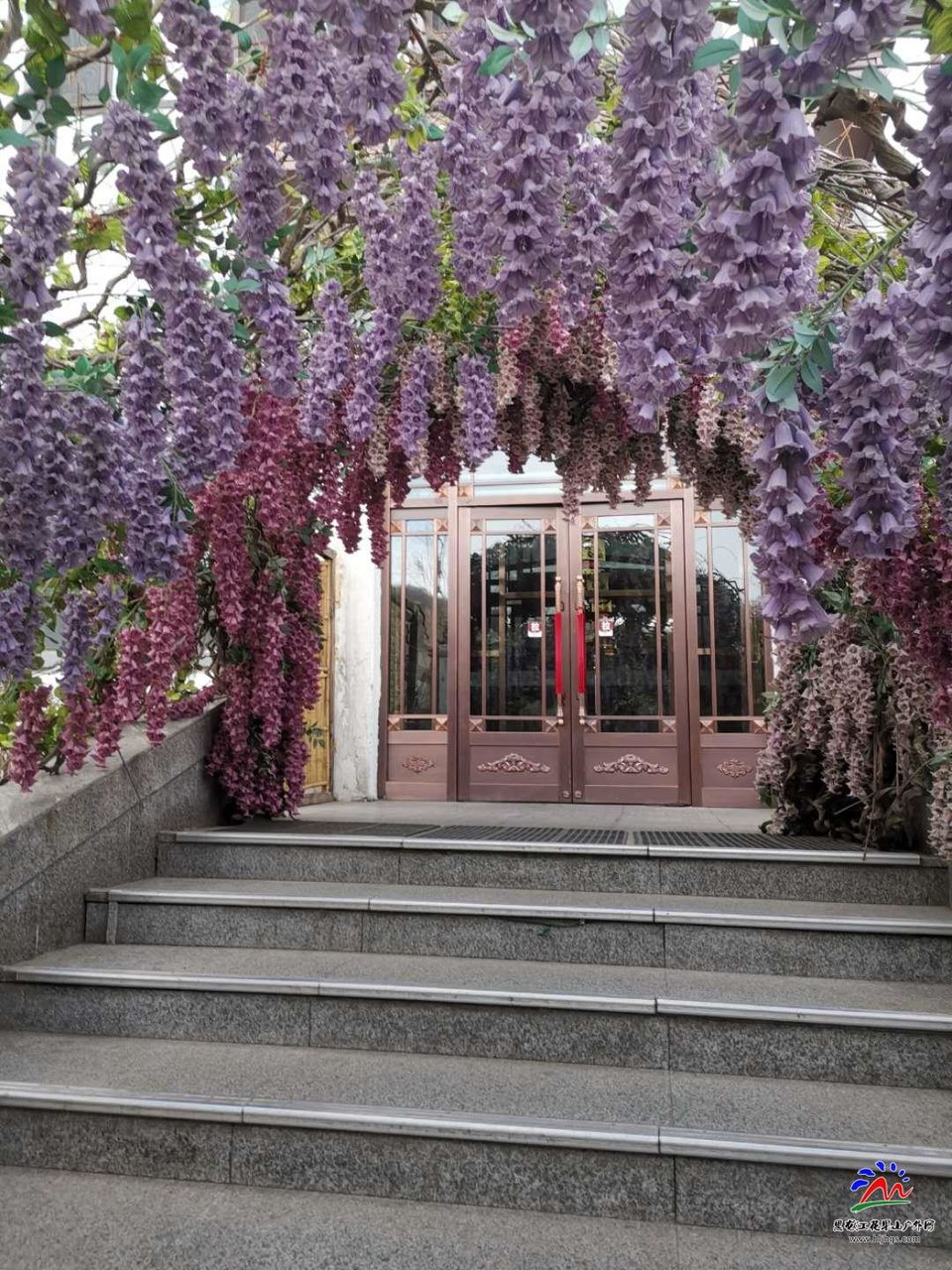 9BccBii6KjHiCD1rogfCOWKq8MAkkK5-RkFP3jRBEJK9Mf5KtkXVcp9zMIAVUNn2