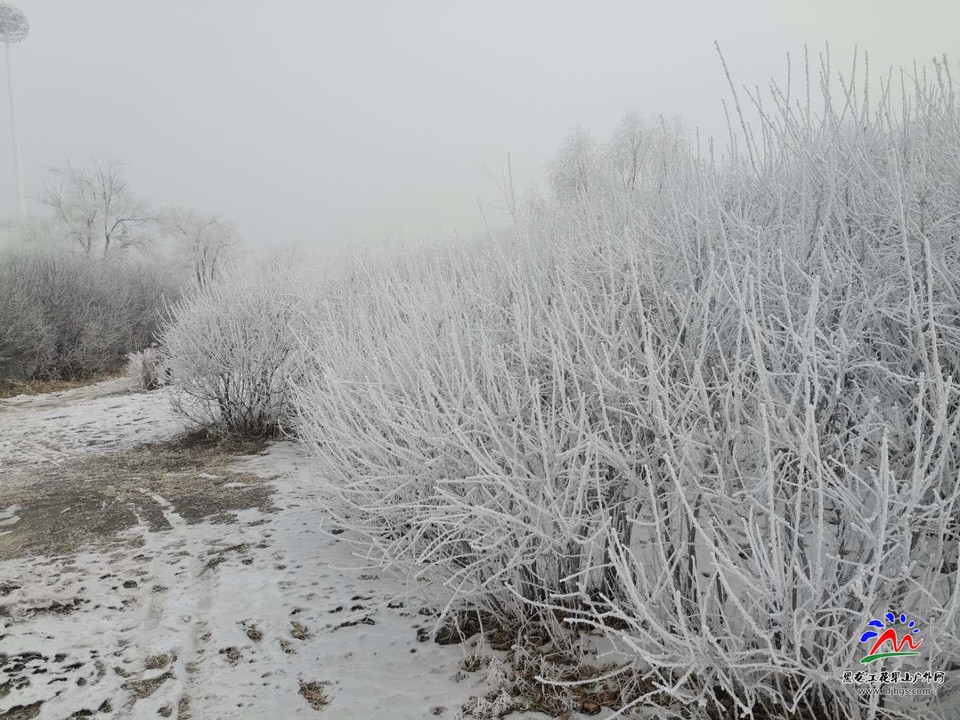 tdRphPJtco3iY7c8gU2HvMqSq_rmkrXsHR_DUGm8Vnu07ROMLGvb9yTnU-TJHbMq