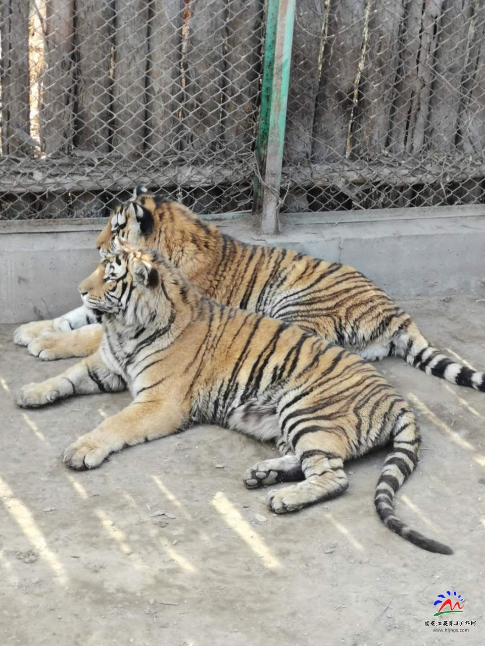 sGs9tXVh54j-uW5noiUZuSx2KCHj8eum_UgzgqN8ojsZpTidxtBElsDNDLWXLCQE