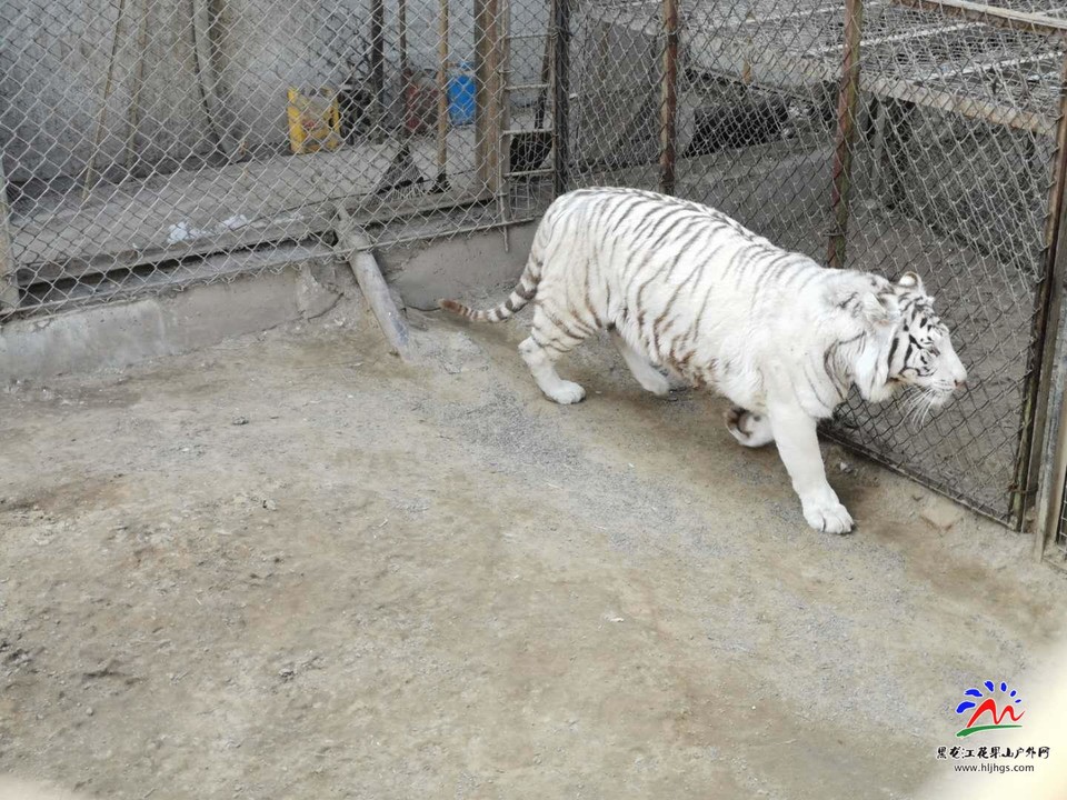 W9kz6HW-bVEvRQq_T54zQdtFrE18hHBo-3Odu5qD81uw6d9paMVMNim9deNAjUhJ