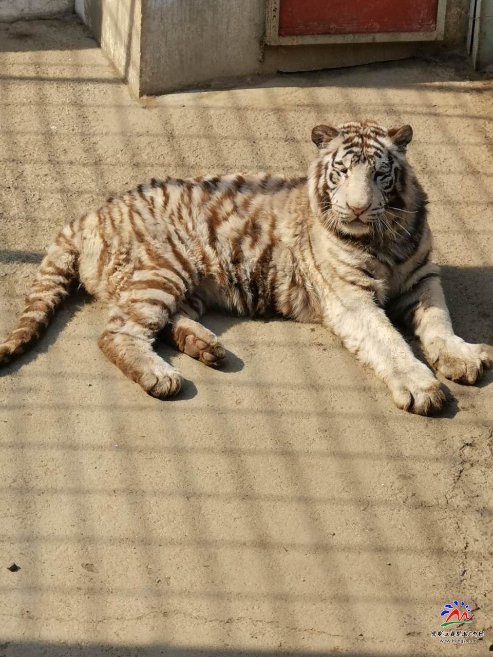 GTuDVN2POHJ3inCOZJn_9I9svxXqXbs9XpD8iFls8fGSH8AVhrwFajMtJ__jvgJG