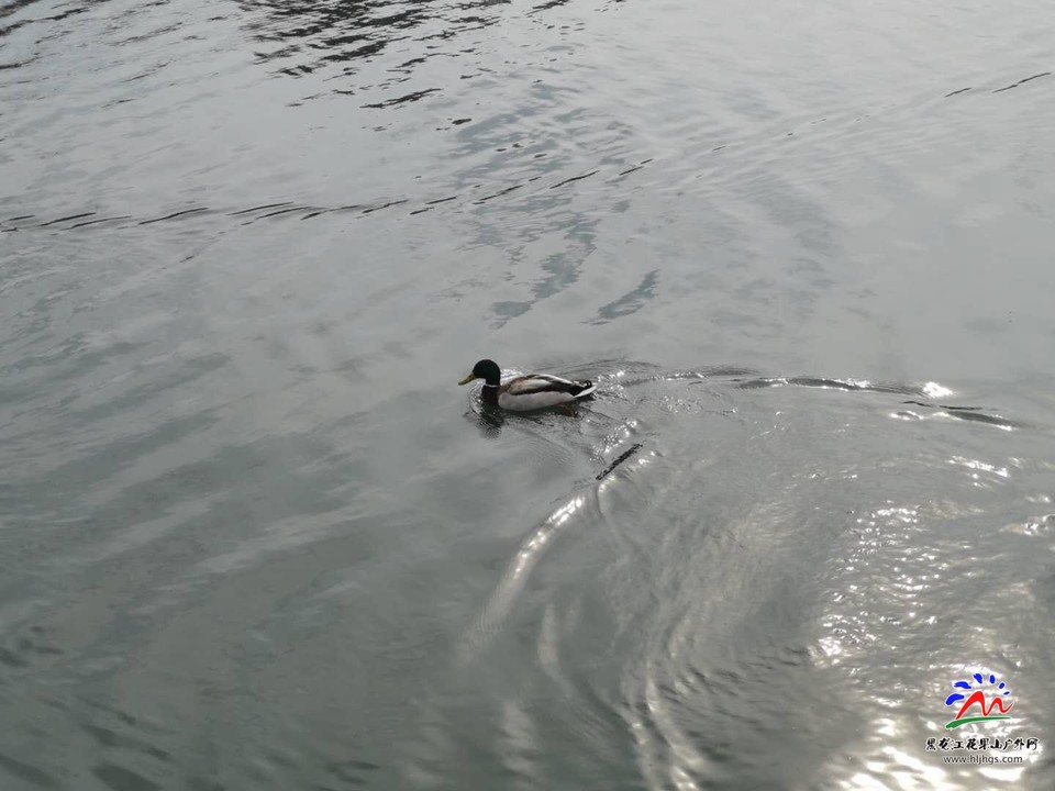 9fSTJRogaxezx0oGqmpTP6GqlMqM4iF5tMm73HppcqNgtNhRGKH9cvEoeHOspb_X