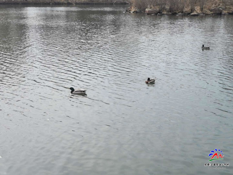 6kNKtHS75vGMA3flVmv3nImrLo7jS4GpYCBeDh2fN0pMDOxf7qtin9Hc6BTsF_Ke