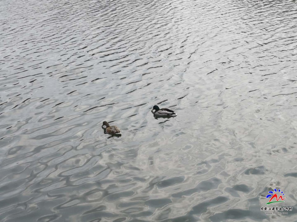 4h1-ndciLCi8WgIazYO2VHWb8pqcP7F-r8-7G3TyUWIrs65SxD2lg4w1L_NtiBoP