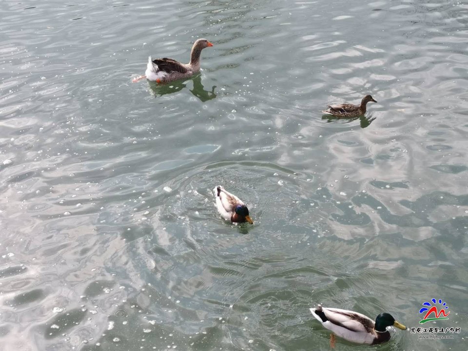 OAyj5y_-lMqan12phff3Pih7GAkHWkzRYucLBwVPJQEpiLCTt6K7QFSMX-GKSRwU