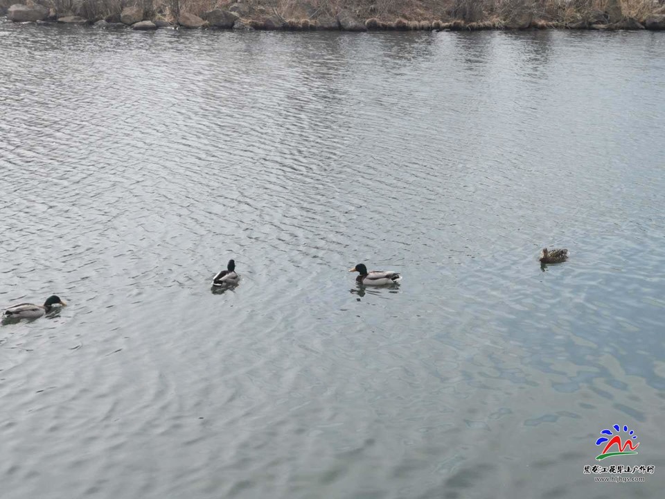 oRMVZmXeCuC3jQkrlwuRe08KJXWlJrS_78gM_ZcQtYRZgVCjaxLSk1-3LalGja2i