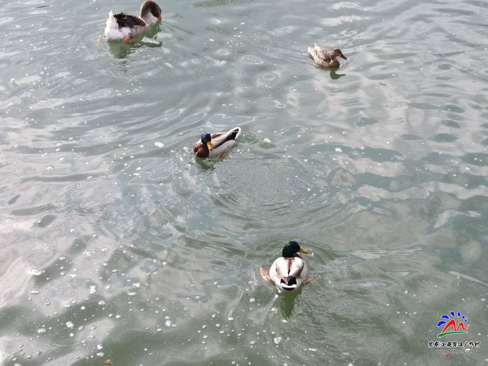 CD5NBQjos4ogiVYPCViIu326CB0IO5GdFeoGWRV5PADMjzzqWqriogDhqxCWHLO2