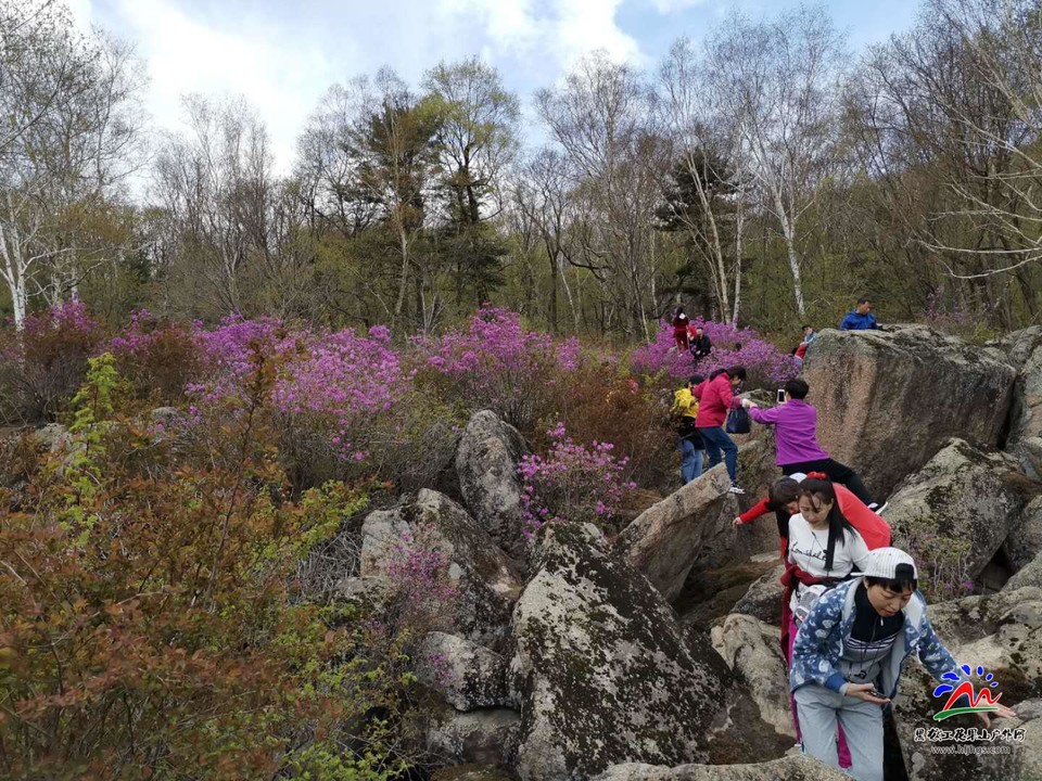 nmT-ebI7_T7_ljBz4-Rum3Nd_l-Hoyn4y6tBN_LjOf10bpPd3IzmdihC12AhrjAe