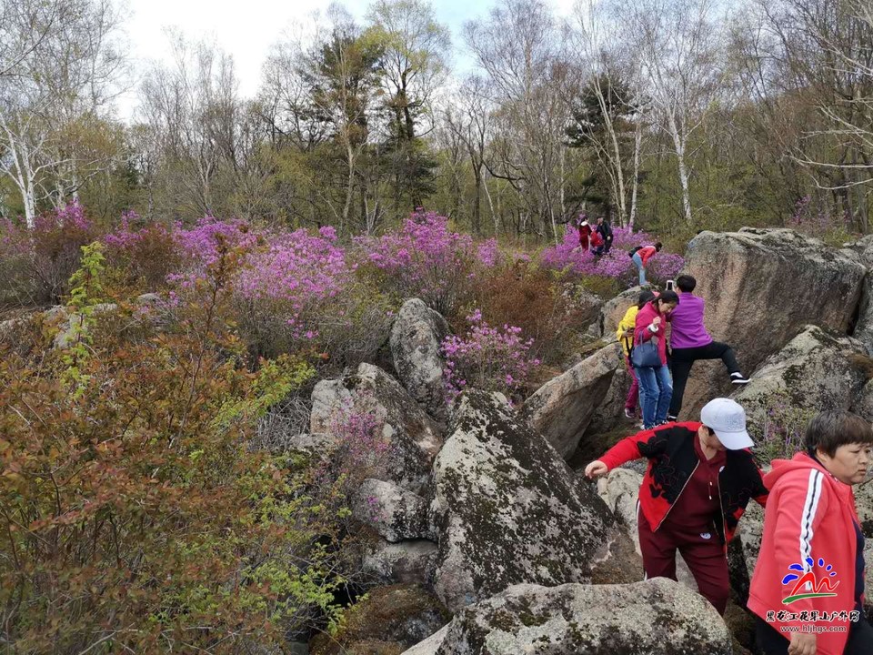 CGWET10UrtEA-osccw8juleN25c3ArGulYJkEFIIkiuQQhzur2PffiTw46LcFk2N