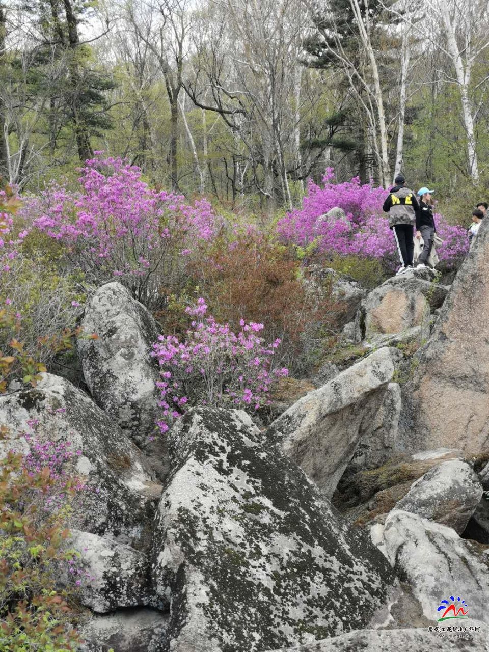 LJFUS0tVroBaH5Jz83OVf3Y_iWswKChB2fkBvGLc44aYTRgW3KI-wpUfGZwznTY0