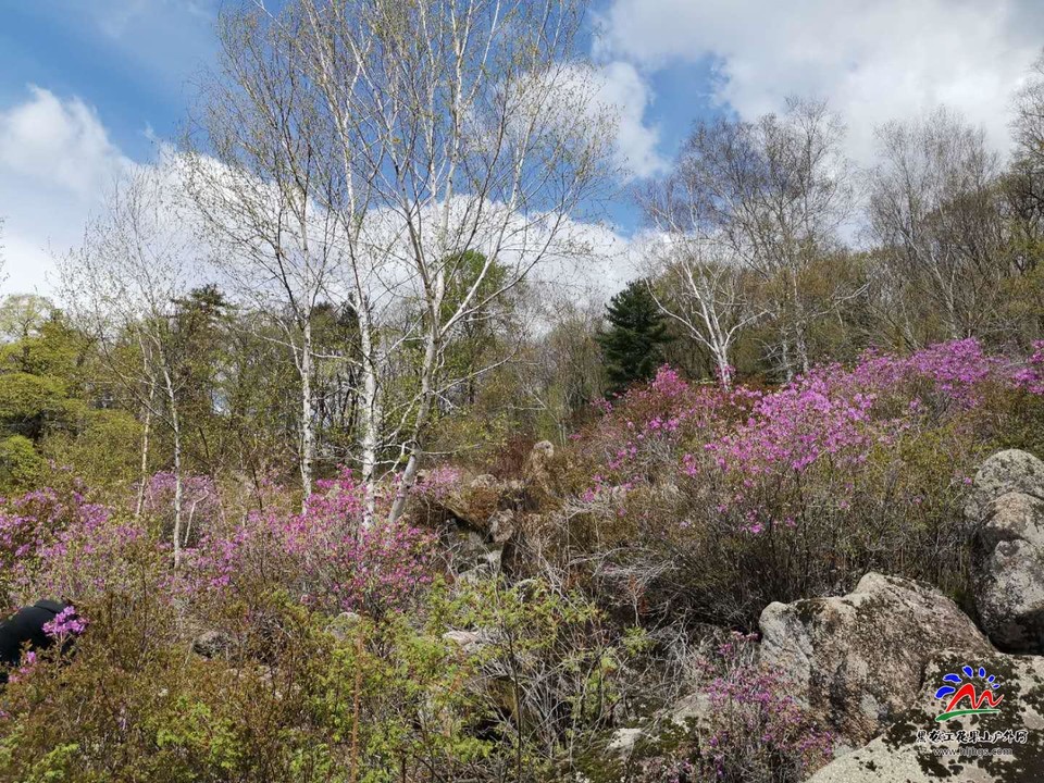 UWlTKi5woEZrLZjKmv69fyOhblvJf19bQeJ17wwNZkAuUEadIO8uq4NRVj1rTAxx