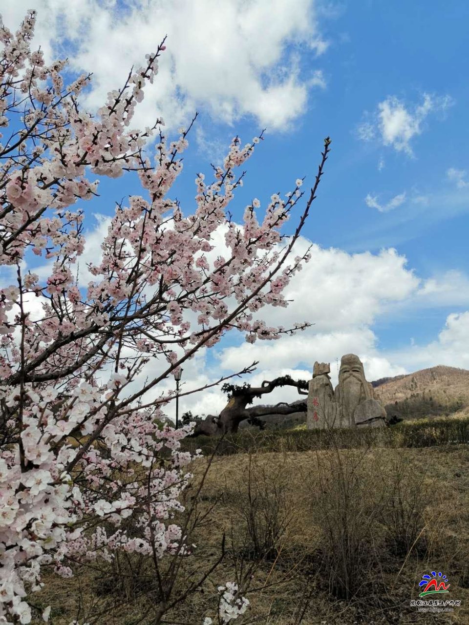 yqVqfMmURLfRD4wGAkFp_DuNFqcxH8DdOOhArhnQtLRwm6lxmd3jCzlFgNjyiiip