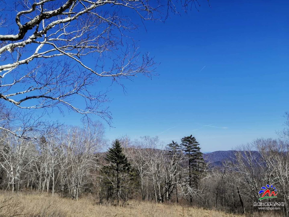 fiD1FvtL8zborlWcxiTsc9u9FRoyaieLDHbXiIpQCjt3g3NFnE5zUmb7EFnzmsAL