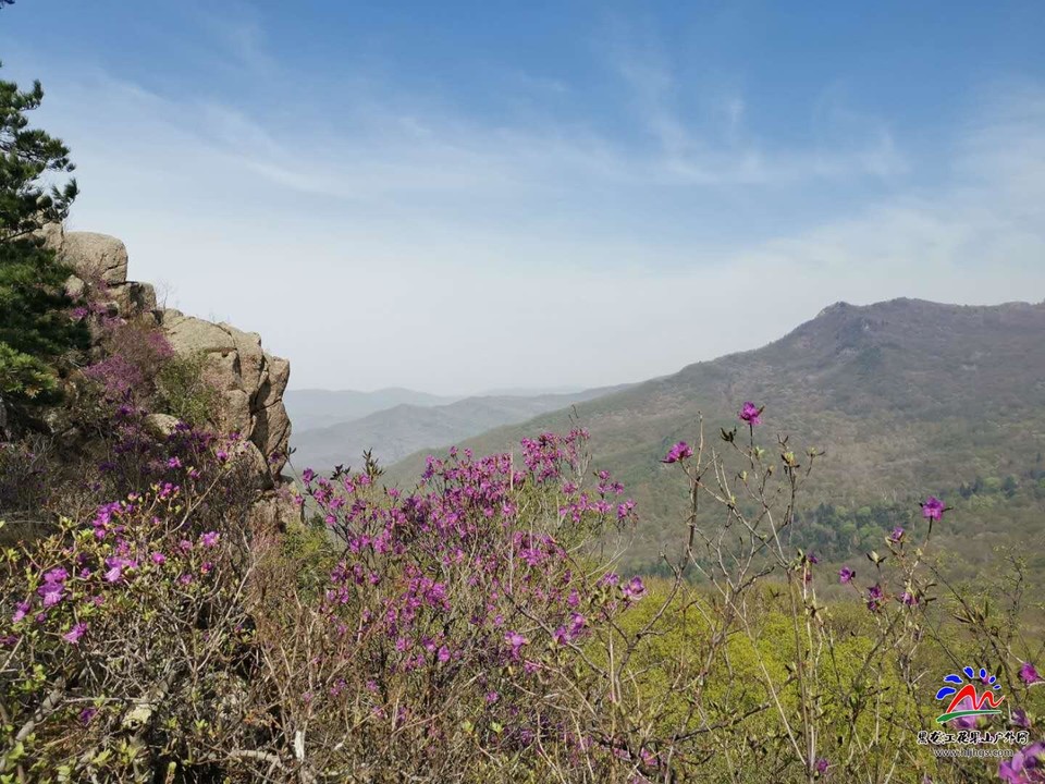 JC8WCcYQkAKuepI1FjGzn7-A6gAXSibFZkMcXUdLULRkUgOizinZ60gnZuKQZwwz