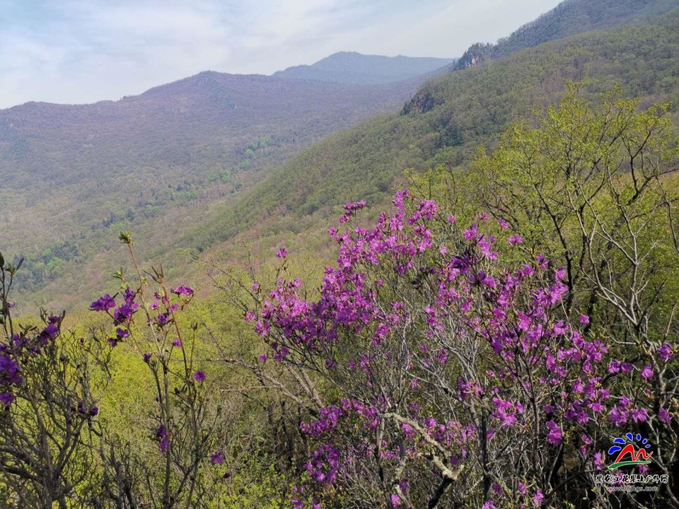 20_bUcaNoa8RWwOaXHKXfgfZt4ZPGkjzE3T54D0Z-wsrVXGdkzFS18buWx0TEfET