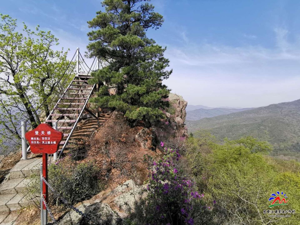 0LA0VxVUHQZJoEQt7-uLYghayZ3k2hNxxNH1CEVez7FC7-hRTB7PbUR6cEA38xju