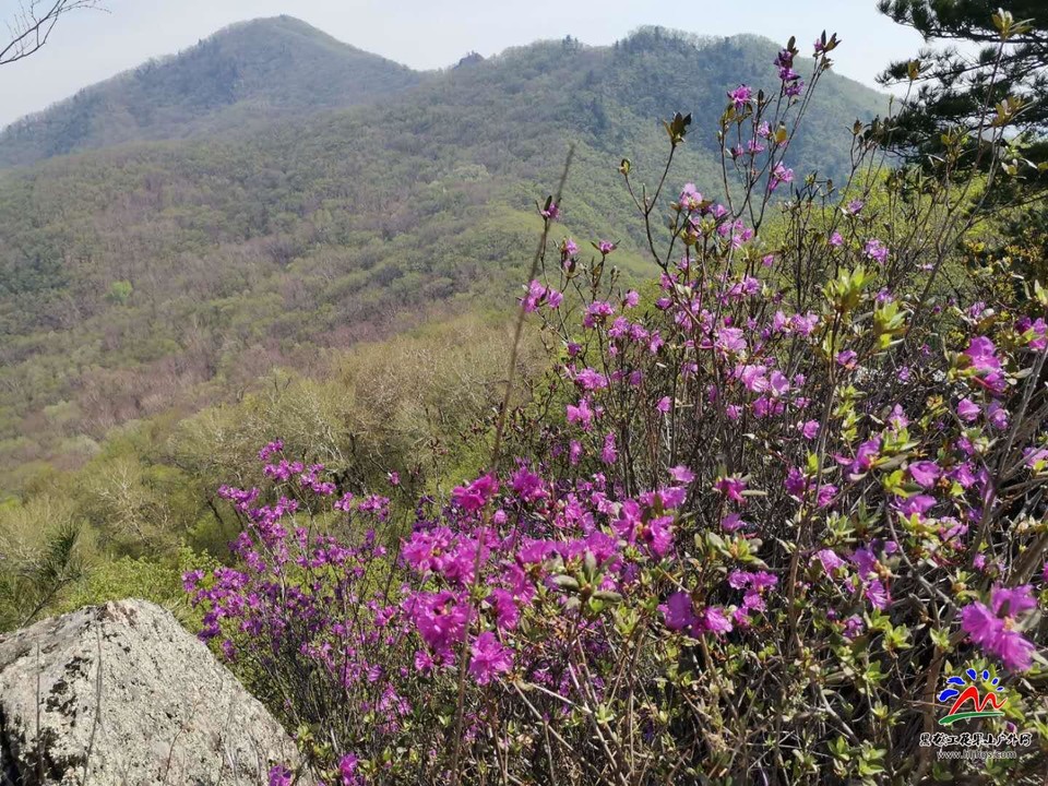 XliOYf9869f_7kurMboIMGKuR0cZbr1pc0UGXcUg1srl7l27GBLf5myfqdgc4Z9g