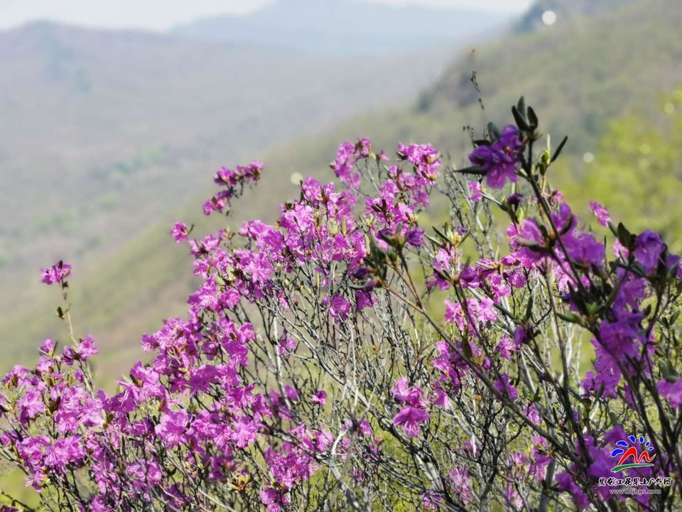 5a3KWCuX-7088qq37LhNSBlwfIKXivhvukPpYui8Jg_damm7guym7ZSLEh5weJyw