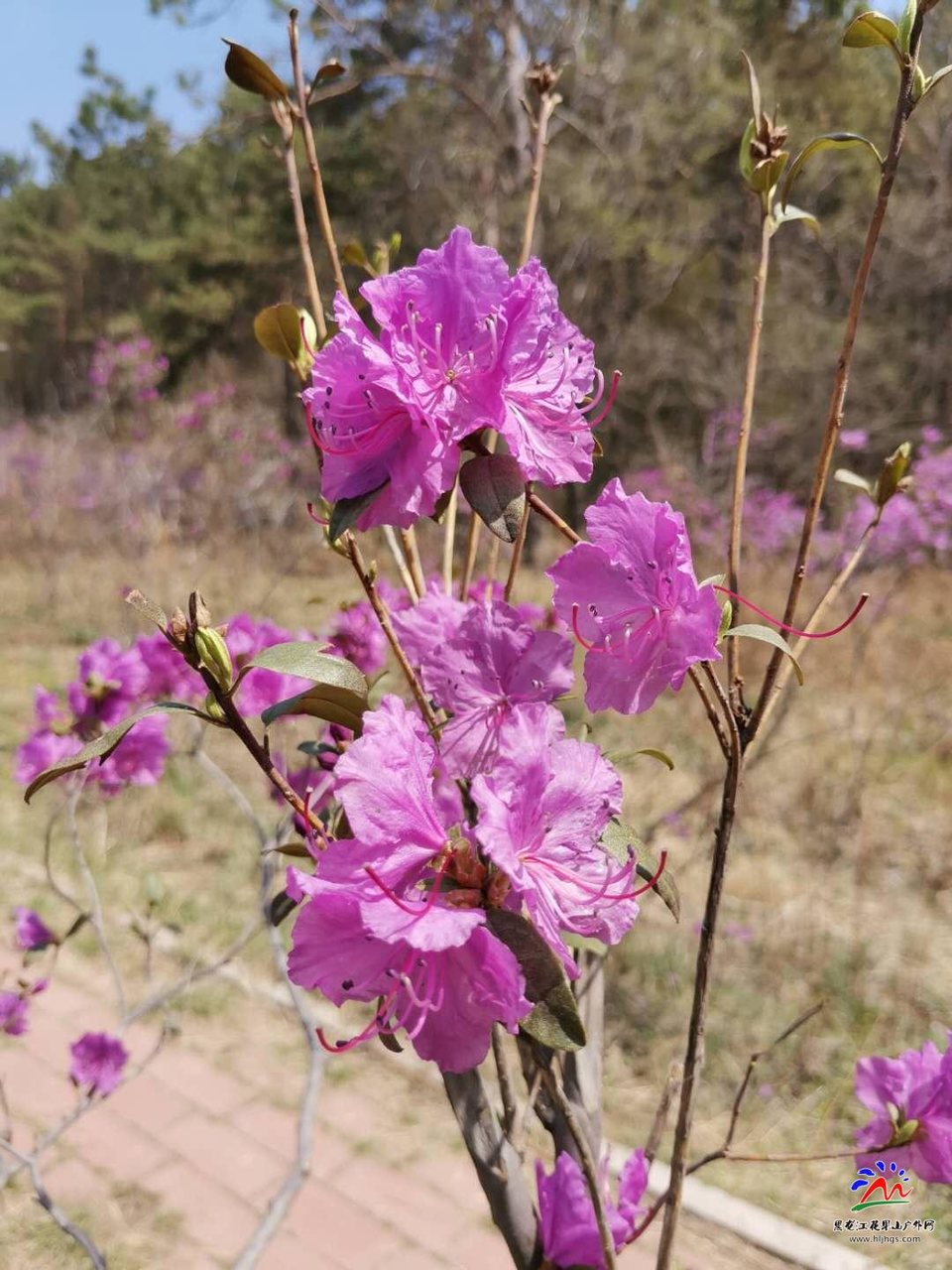 Wb2rZxlKAhFj7ETA94DEkpr3qL-Hc7atja1pUvM7B5RmCsTh2hQs5BTxQUQ4qRLV