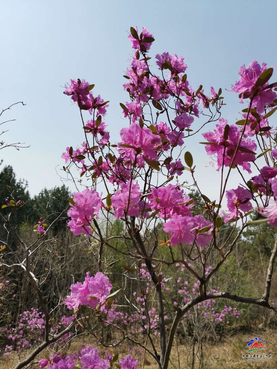 pKnlh-71z0SjnMAgNaYH-kWtSZyWVKMPHeMZH7j7i2qdumN121LRSEKBrjwOXfD8