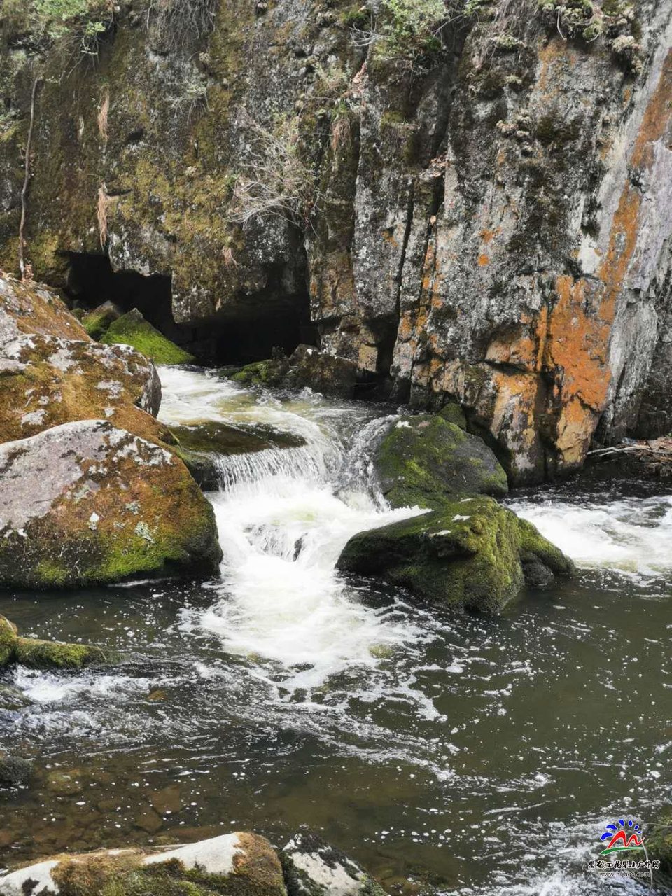 A3ivNkNiR66MdZVVkV7FkD1s-G9lJ4d6Bak59OZGzFAsnhKEsHE7XaxlW27Jyk5M