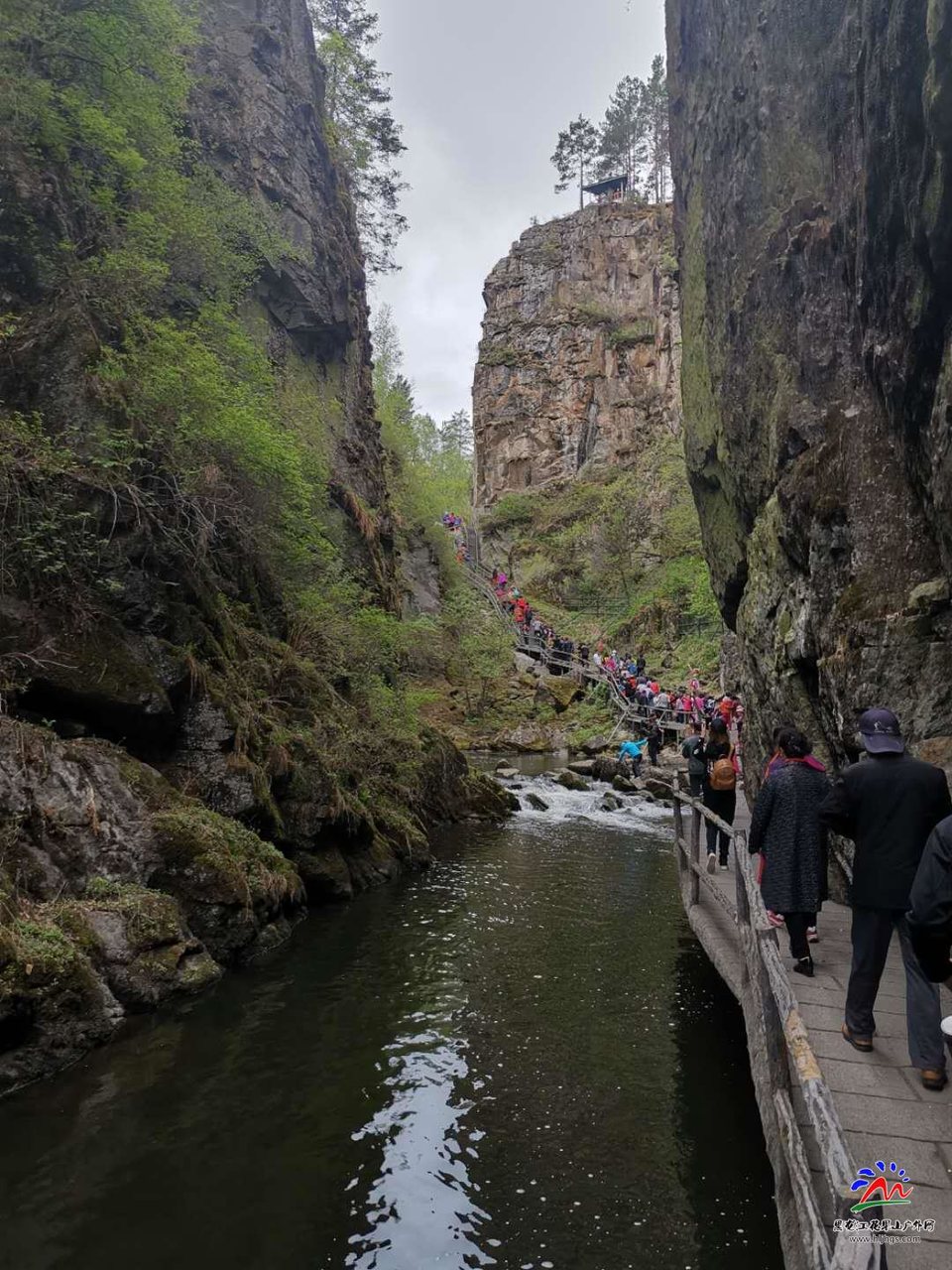 31Qb3lSIIy3xV1RLadkll3yNQqgY8QO6MfYbi2gVnFskJDMSBdBvb6uEQgnDvF7b