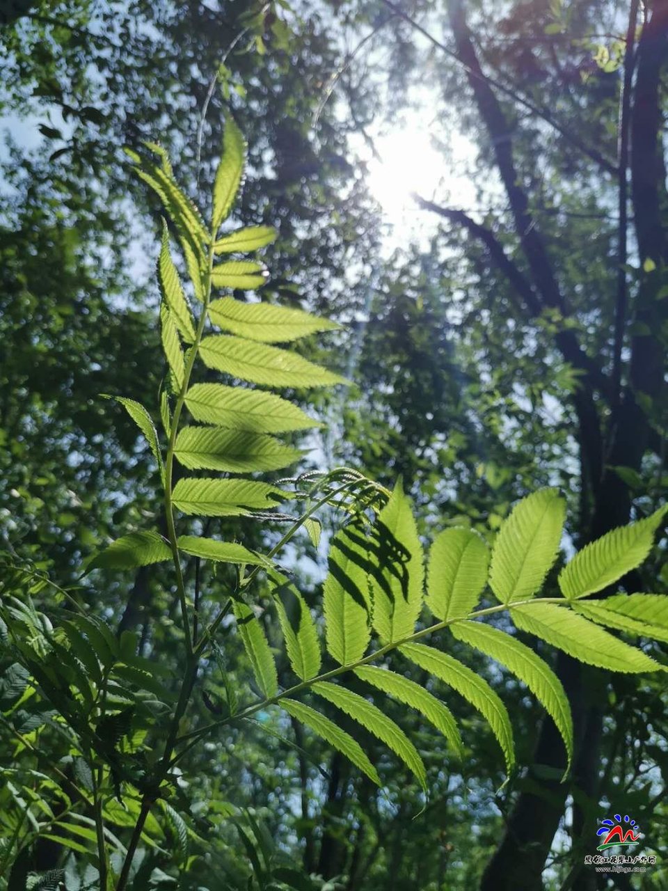 tdRphPJtco3iY7c8gU2HvB78DzggPc6sthHXiJcZUc7CvzTzn4_Xe61-OLY7814t