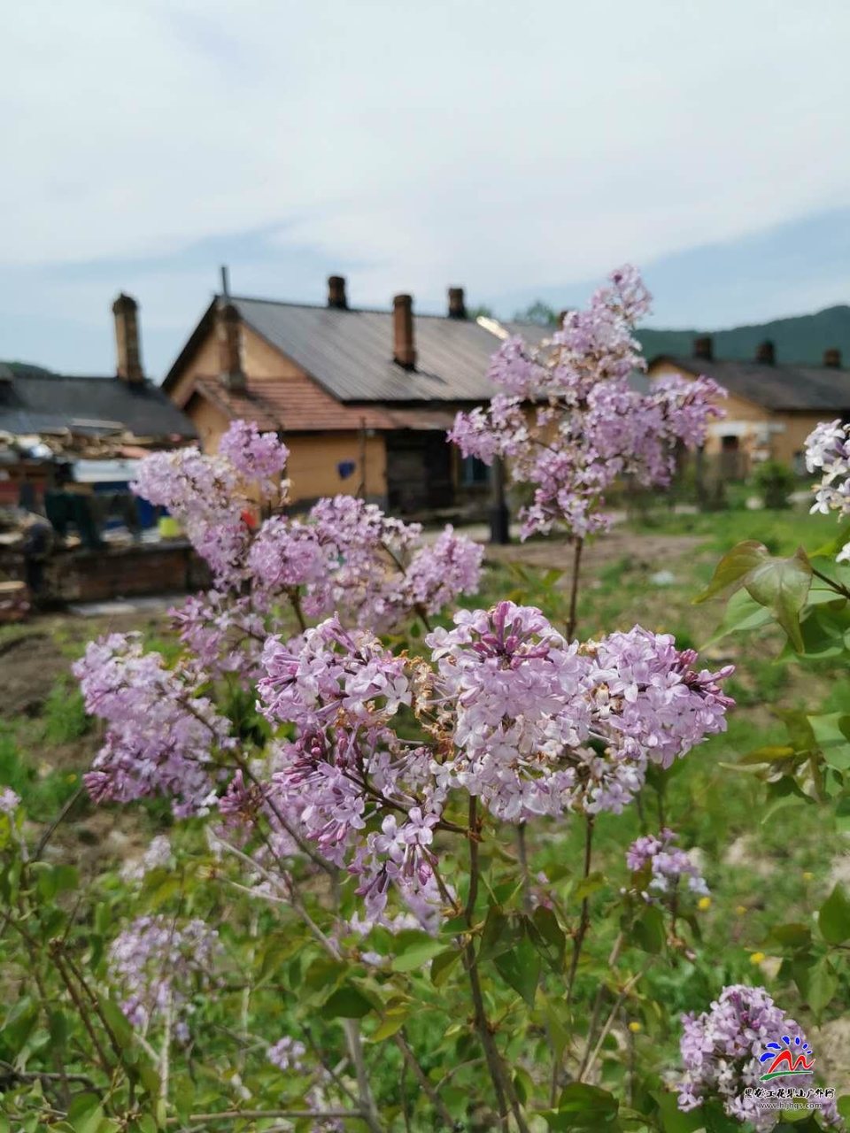 CuMCaUWfBwrOF3B_pFQGTLQgjgWwl4PdSUNsTsT4fj6qdykELtUFUFQa2_3swIvB