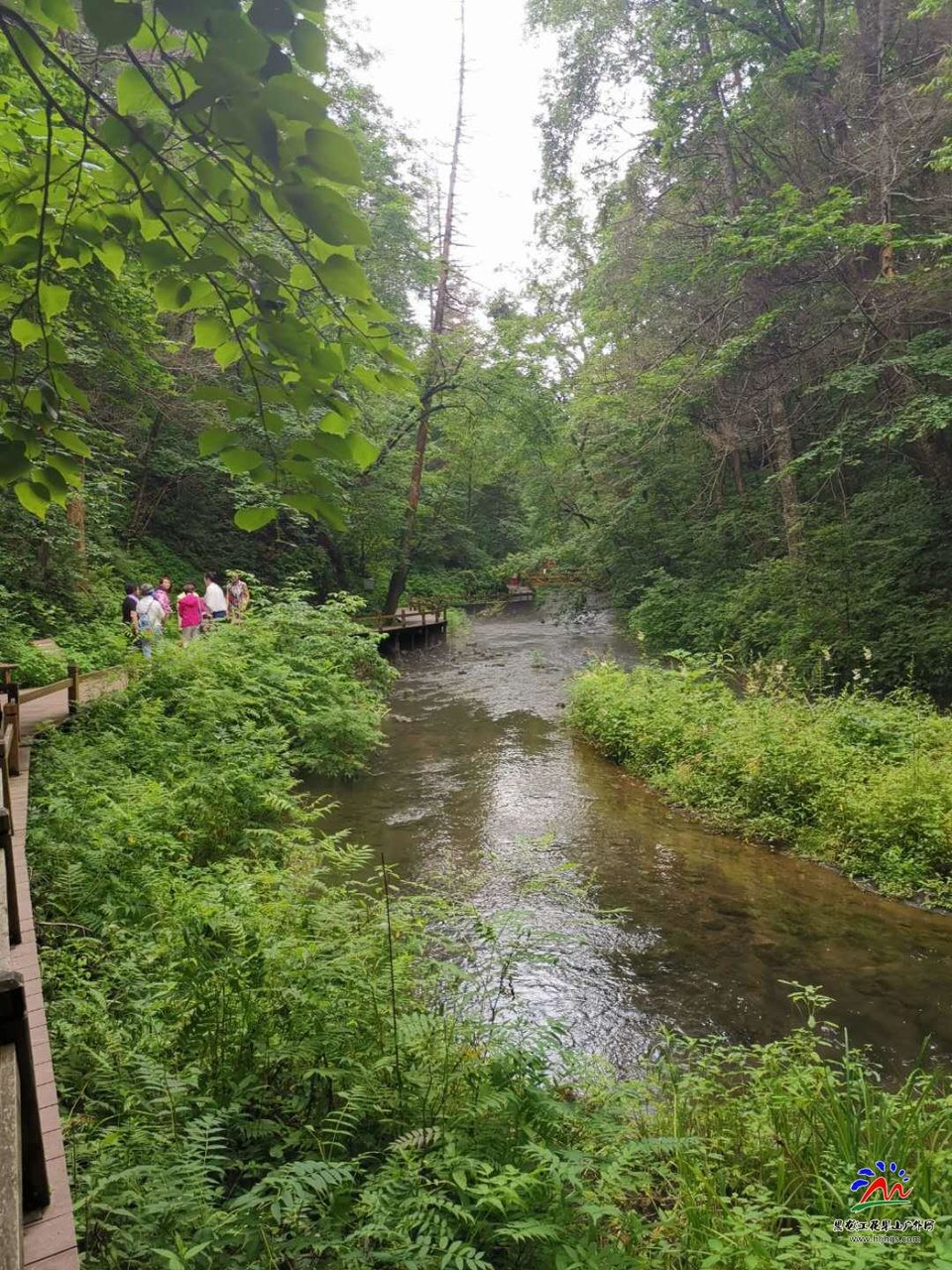 tG7gF0Uc7yuUL8TXE8D-DgIglI6zB2lvme3AfYLGmU0FkNhoS4CRgMuXCe_lODwo