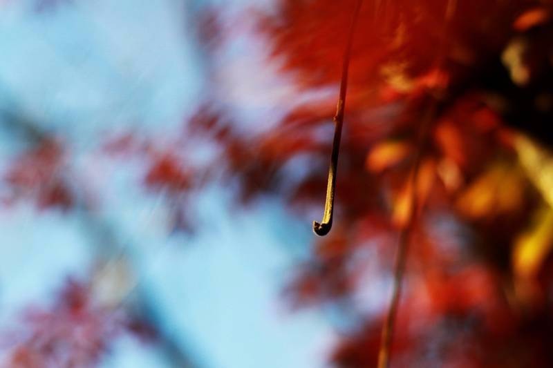 蛟河红叶谷 拉法山 松花湖 12