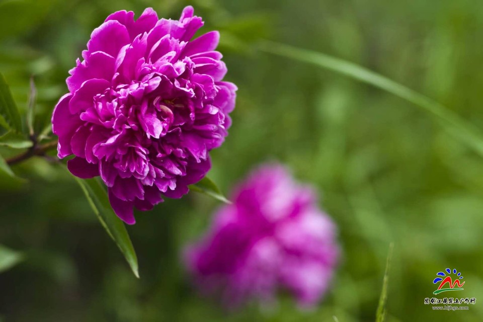 fOMe4SQWir80VThLAoZ7QOs_GH35GIMi25Qcs25OZKy4MGvNttSgx_miJfA-Z8PQ