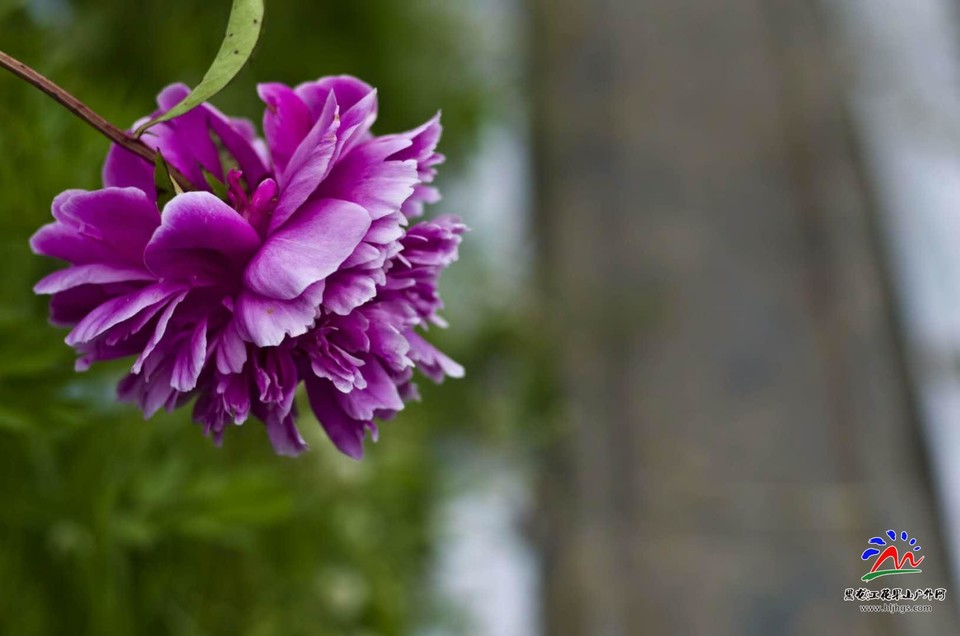 3SnCCo1aeeEu7pRMyT6KTNs6HWamNA8amd__eziRR_n6AOzhq8HE7DuywI3adwaJ