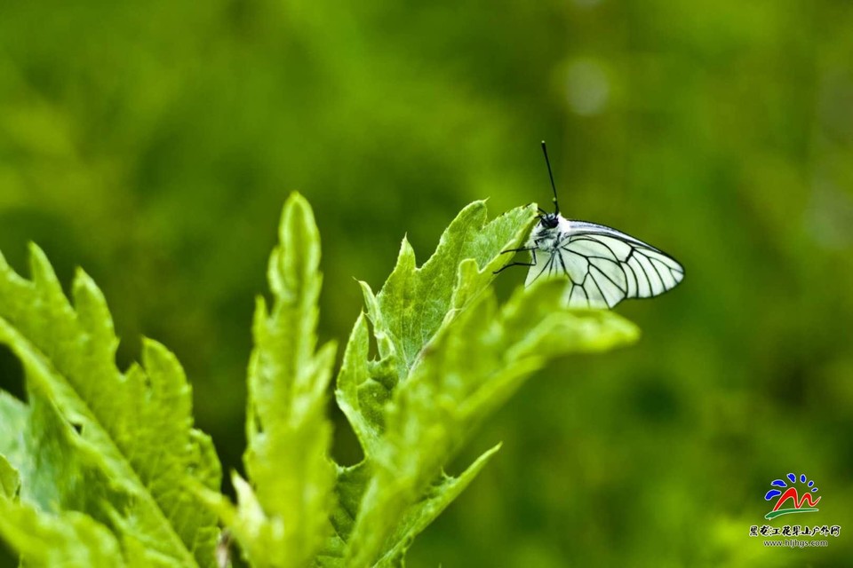 mN1WvJxnNEQIzmpBY7YLVchpDH-Ub6jFsYVetCEHUatZdodO6tJqWhW36u5DUG9p