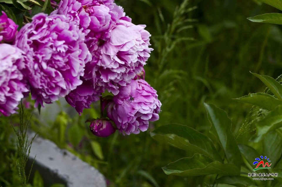 bebVnIaXrfDLZ3hBrT9Fgo53vUZ-z4jKpqGzj-qMFPBJHv-WVriLLczFb-UOYpnb