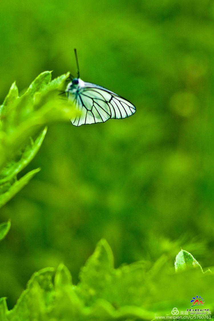 4SITZsFg2L4lYcr0a0FsGTvsVSXXu4IxHyOpXAuJKYn_h4cUXEFz9MgH915wH-Wo