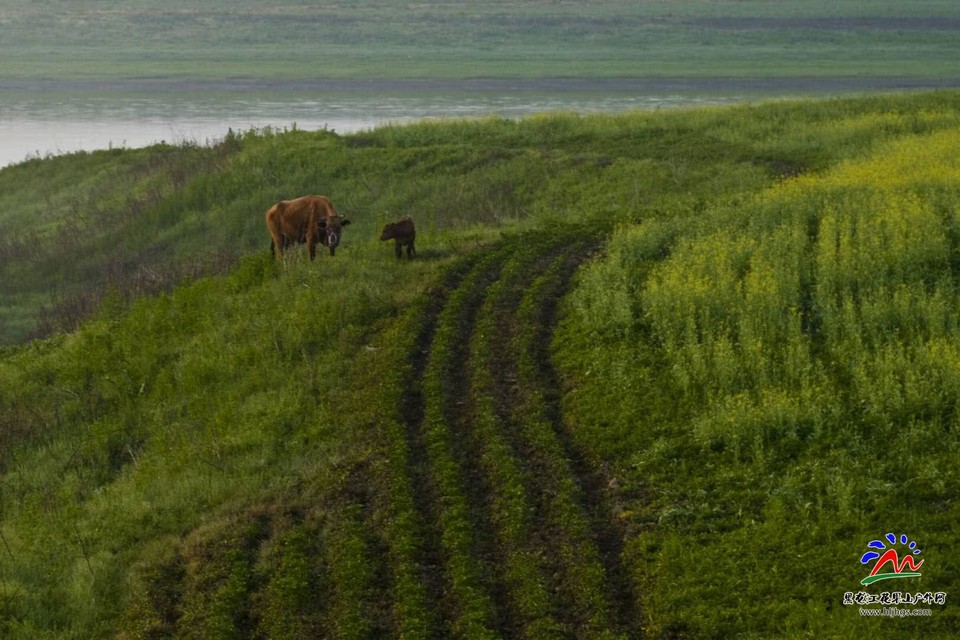 q8GJMIubrYOMb0j3OpDY6viMqxqXfjgB4nfv8MU88rpVnzevjPuHYCN9mGUQ4ucw