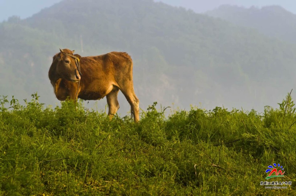 Wb2rZxlKAhFj7ETA94DEknNVZXXkMHv5dmRviZjQUhhzsN-jX2IG3Eq-tm395sZR