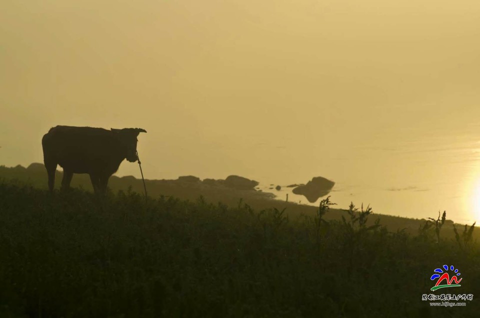 e4YNBIvWh2dsYMcuyP7lNqWPfZCF1LWolX718GdKCfQVE7QyDKQpEtevHsUQ13CQ